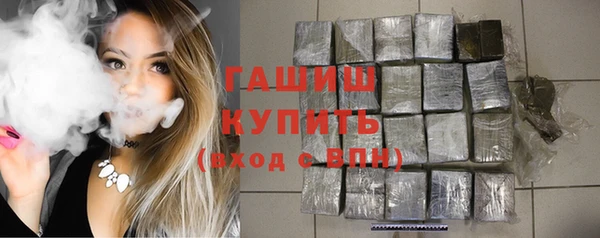 сатива Балахна