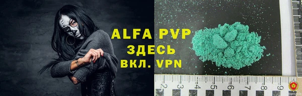 сатива Балахна