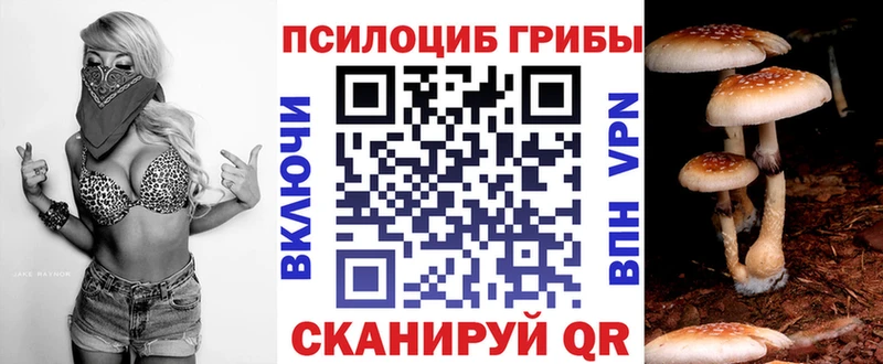 Купить где  Оленегорск  Псилоцибиновые грибы Magic Shrooms 